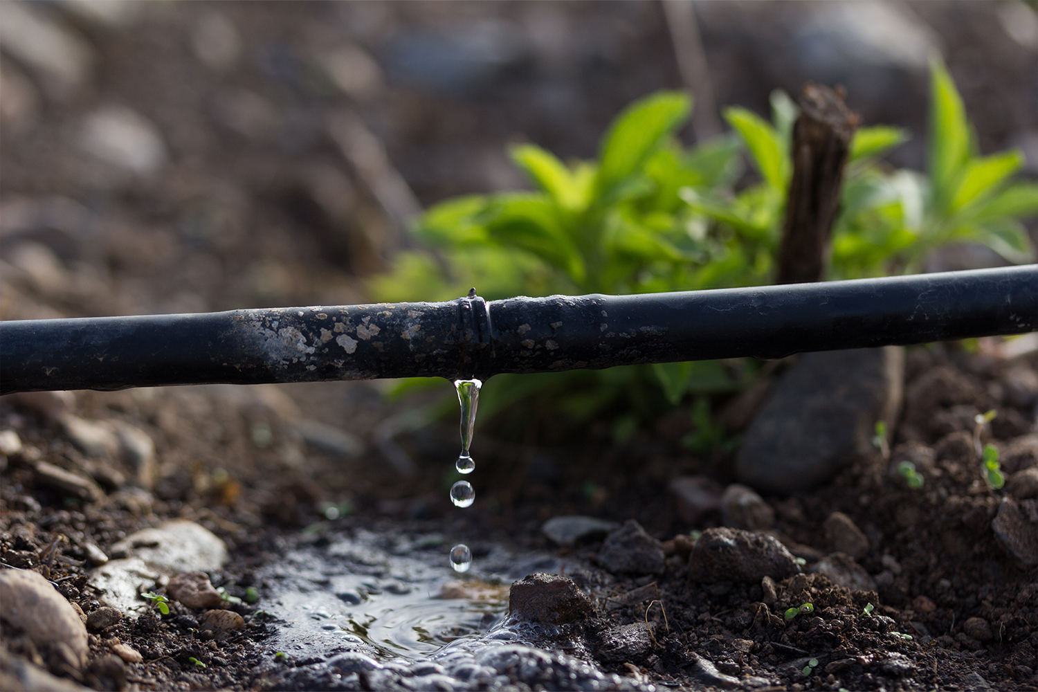 DRIP IRRIGATION PIPE