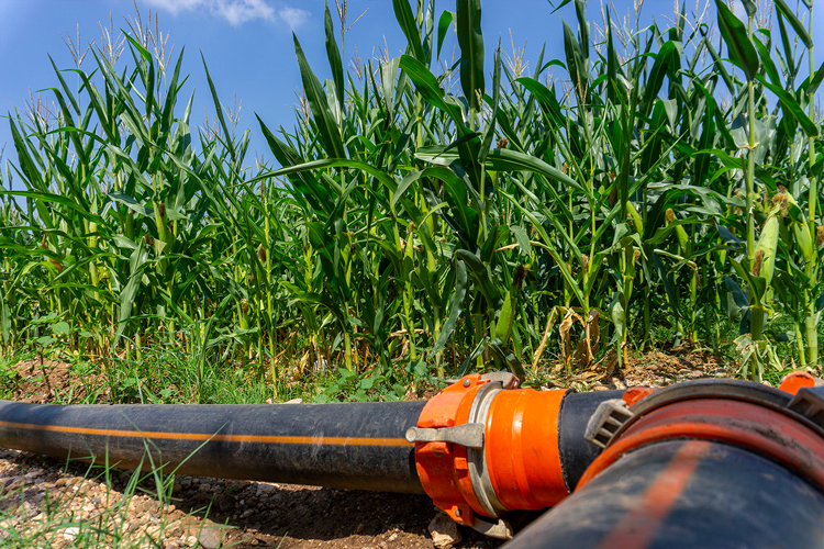SPRINKLING PIPE